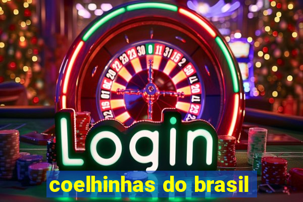 coelhinhas do brasil